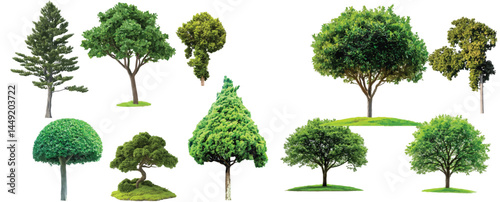 Vector watercolor green tree or forest side view isolated on white background for landscape and architecture drawing,elements for environment or and garden,Shrub for section