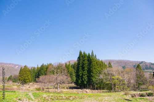 春の青鬼集落　棚田