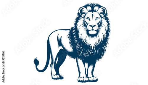 lion vector illustration