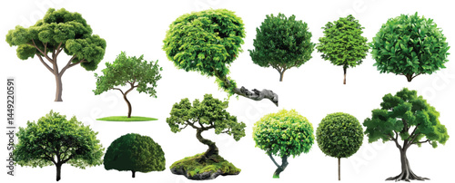 Vector watercolor green tree or forest side view isolated on white background for landscape and architecture drawing,elements for environment or and garden,Shrub for section