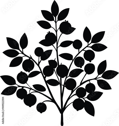 blueberry bush silhouette vector on white 