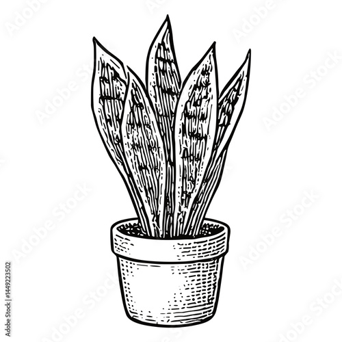 Plant 2