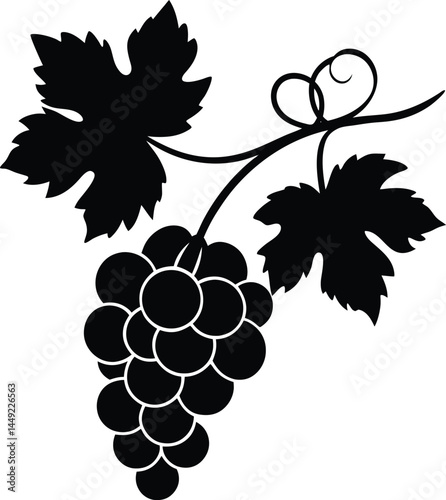 grape vine silhouette vector on white background   