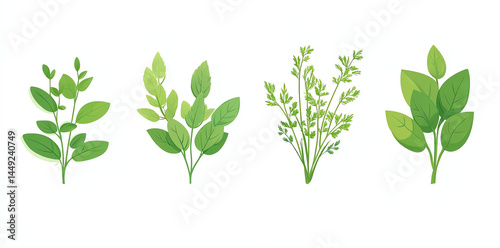 Wallpaper Mural Fresh Herbs Collection: Sage, Basil, Cilantro, Mint Torontodigital.ca