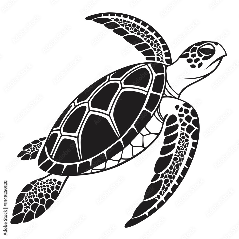 Fototapeta premium turtle