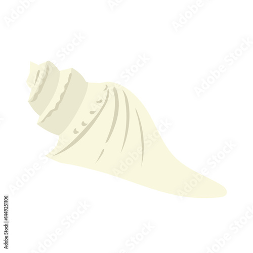 White Seashell 