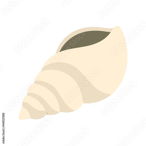 Tropical Seashell 