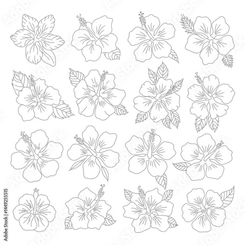 Black and white floral and butterfly seamless pattern design for decoration and art