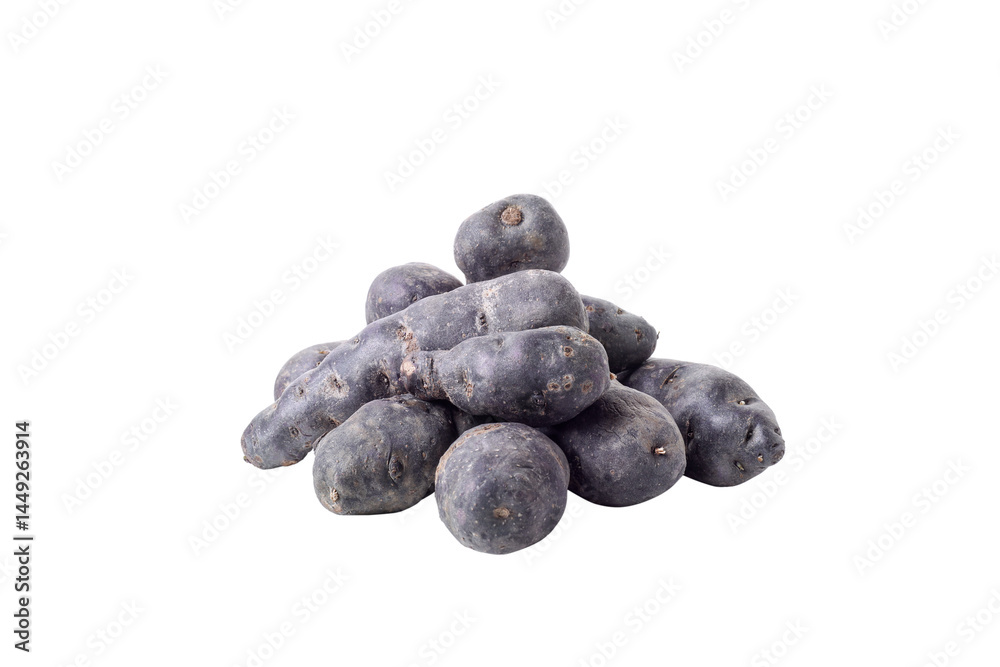 Concept of unusual vegetable - purple potato vegetable, isolated on white background