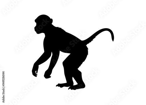 Black Silhouette of a Monkey on Four Limbs with Curved Tail – Minimalist Animal Illustration for Wildlife or Educational Themes