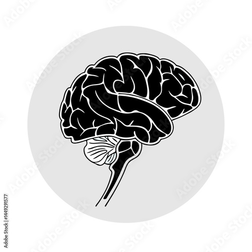 human brain vector illustration