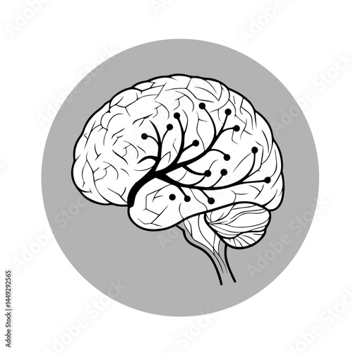 human brain vector illustration