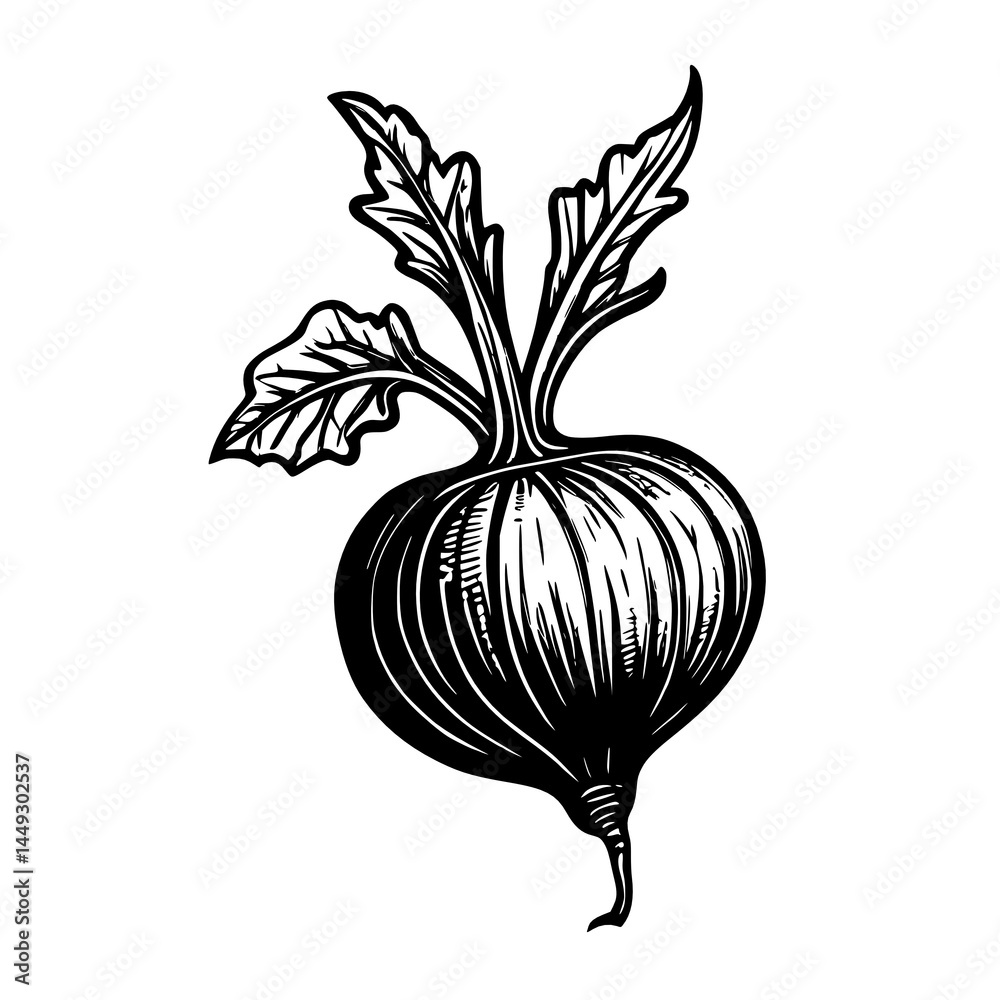 illustration of a beetroot on the black background