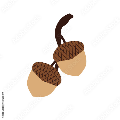 Hand drawn illustration of an acorn. Flat design of acorns. Illustration of ripe brown acorns. 