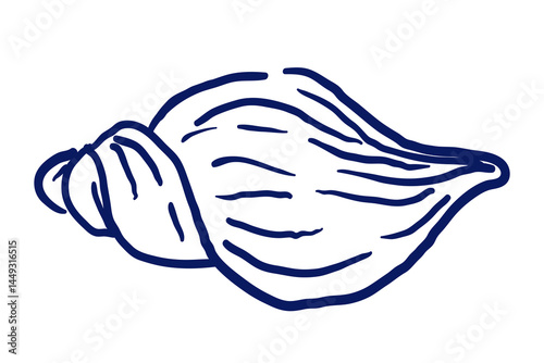 Hand-drawn pointed sea shell in coastal sketch style