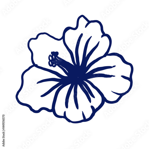 Hand-drawn hibiscus flower with ruffled petals in tropical style