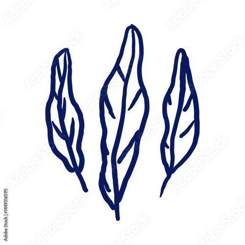 Hand-drawn sketch of three tropical leaves in navy blue. Minimal botanical illustration suitable for summer design, exotic decoration, and nature-themed prints.