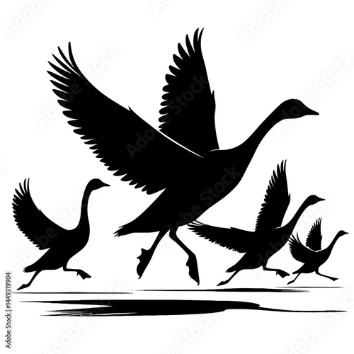 Flying geese group silhouette landing