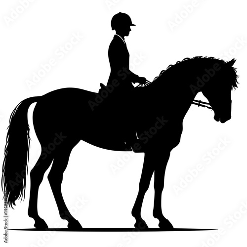 Horse rider silhouette in equestrian gear