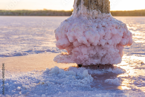 Crystal encrusted fence post in a salt lake