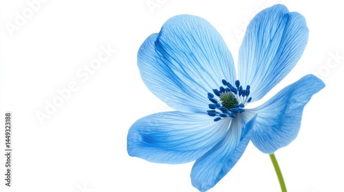 A close-up of a blue flower with intricate details.