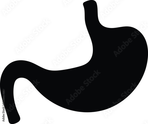 human stomach silhouette vector icon
