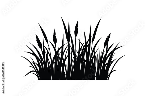 Grass silhouette vector