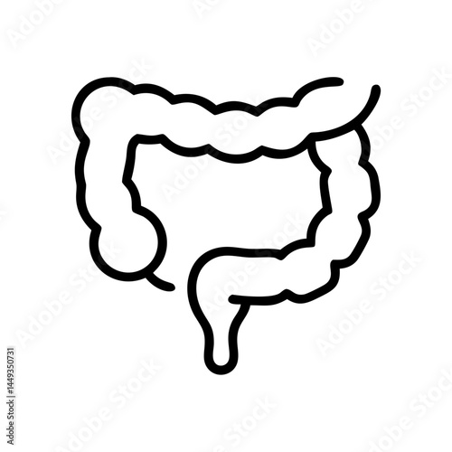 intestines on transparent background for web and graphic design