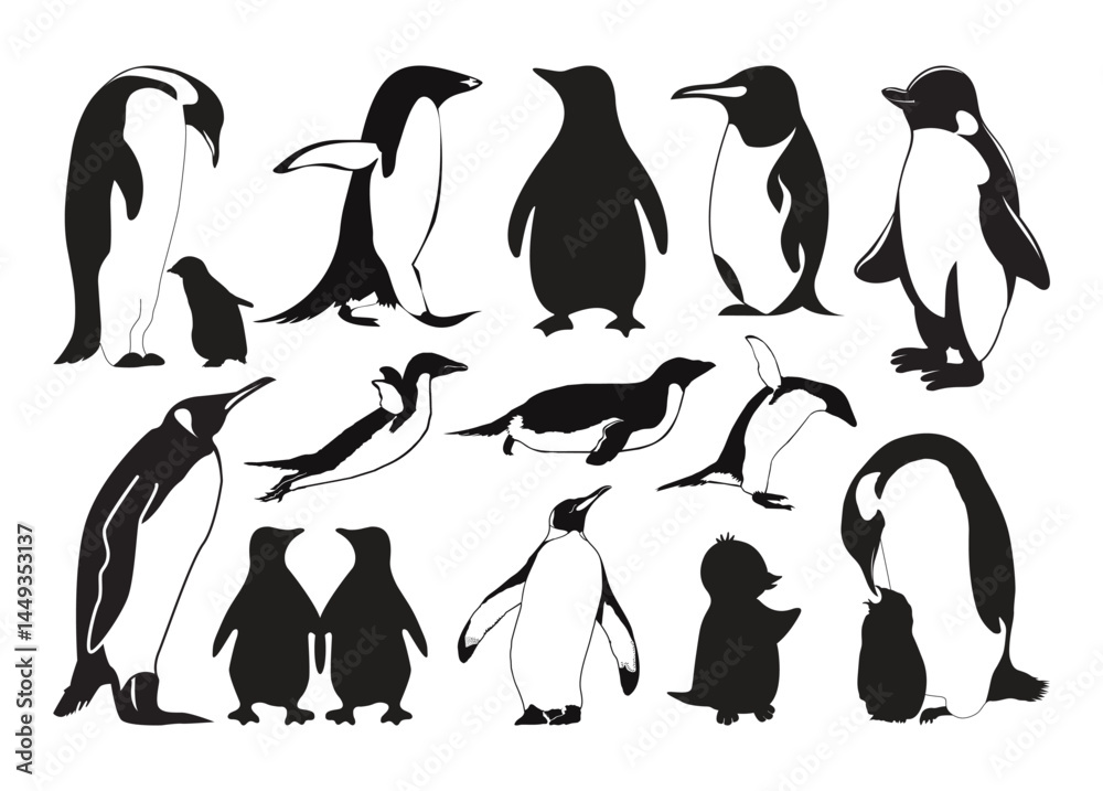 Fototapeta premium Penguin vector, Penguin clipart, Penguin silhouette