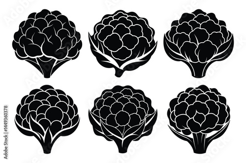 Cauliflower vegetable icon silhouette set vector isolated white background