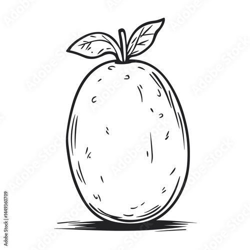 Hand-drawn potato illustration with leaves and shading  