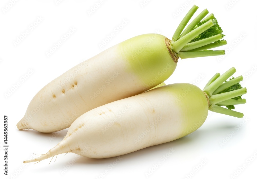 Fresh White Radishes Organic Vegetables Healthy Food Cooking Ingredient Dietary Fiber Natural Fresh White Radishes Organic Vegetables Healthy Food Cooking Ingredient Dietary Fiber Natural