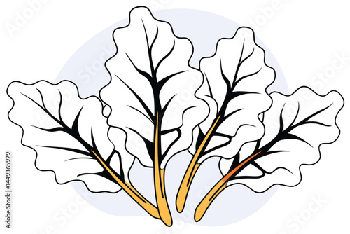Beet Greens Vegetable Vector Illustration on White Background

