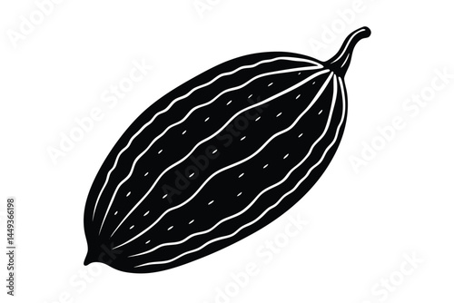 Bitter Melon Vegetable Vector Illustration on White Background

