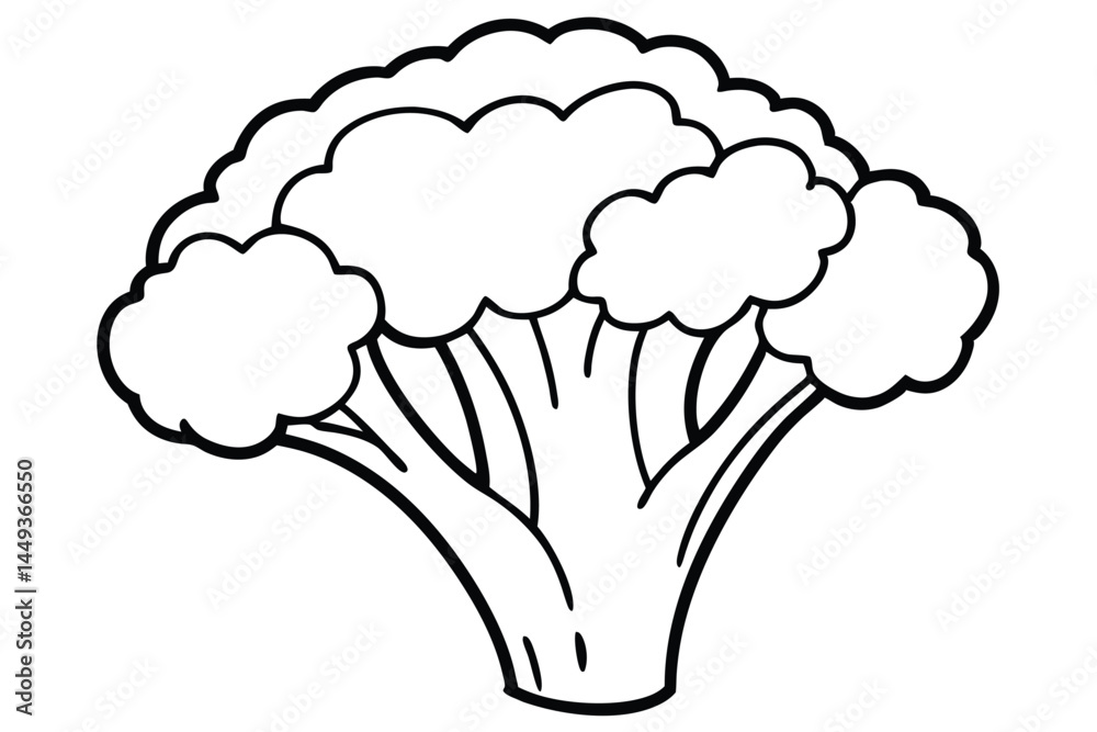 Broccoli Vegetable Vector Illustration on White Background

