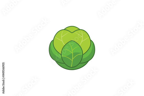 Brussels Sprouts Vegetable Vector Illustration on White Background

