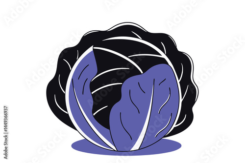 Cabbage Vegetable Vector Illustration on White Background

