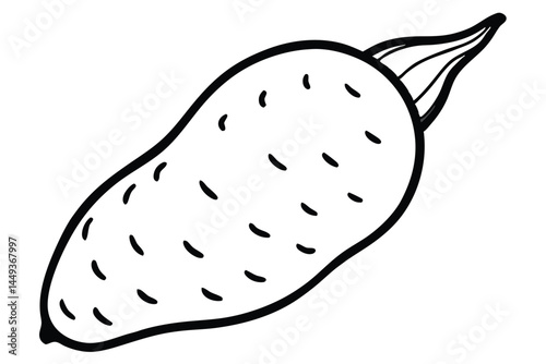 Chinese Yam Vegetable Vector Illustration on White Background


