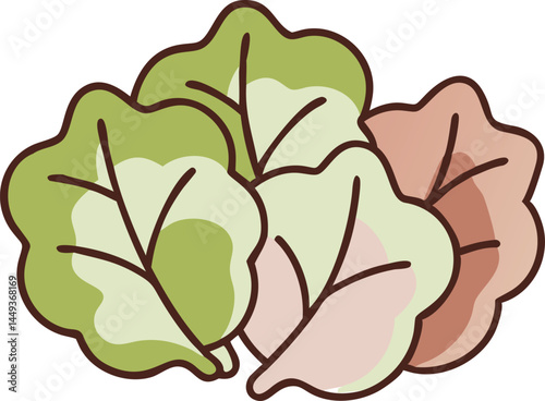 Collard Greens Vegetable Vector Illustration Isolated on White Background