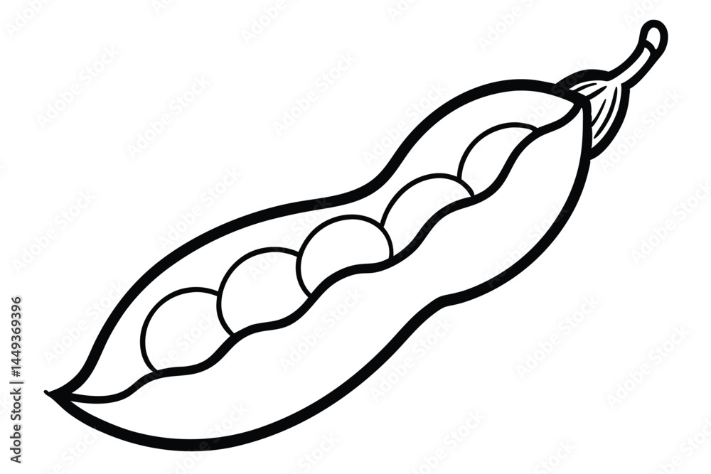 Fava Beans Vegetable Vector Illustration Isolated on White Background
