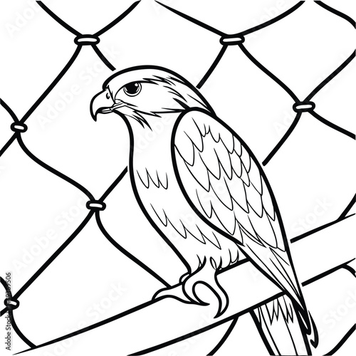 vector illustration of an eagle