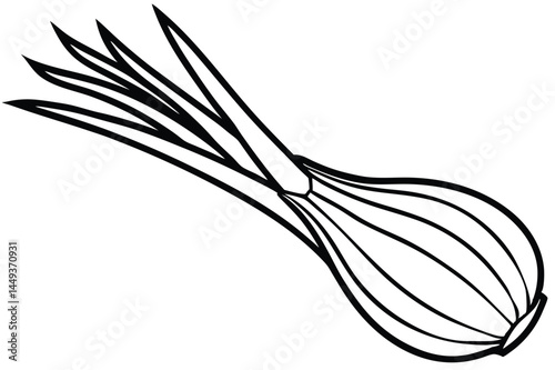 Lemongrass Sprouts Vegetable Vector Illustration Isolated on White Background

