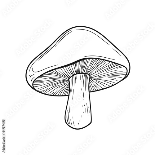 Hand-drawn mushroom illustration on a white background  
