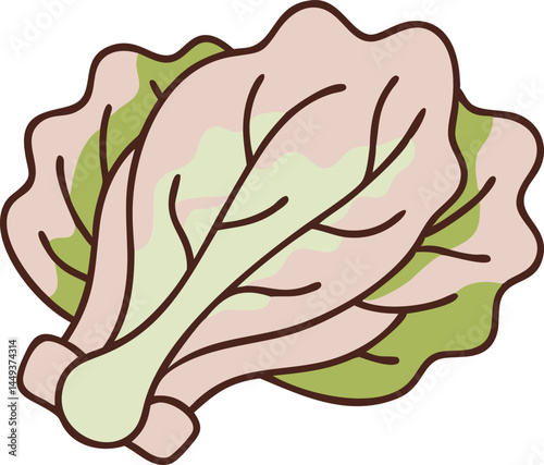 Swiss Chard Vegetable Vector Illustration Isolated on White Background


