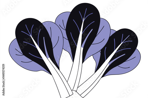 Swiss Chard Vegetable Vector Illustration Isolated on White Background

