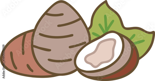 Taro Vegetable Vector Illustration Isolated on White Background


