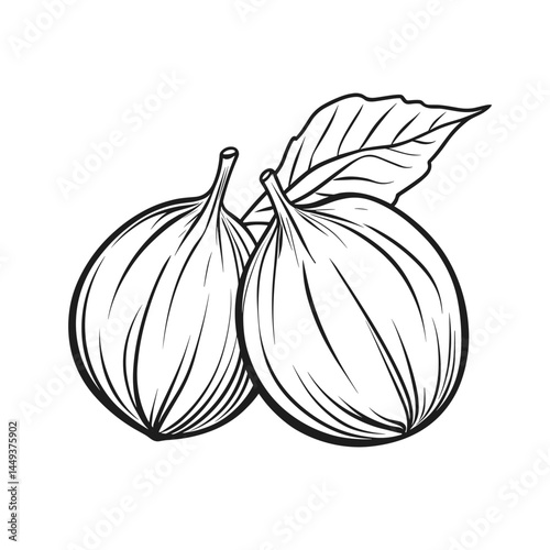 Hazelnuts in Line Art Style with Leaves  