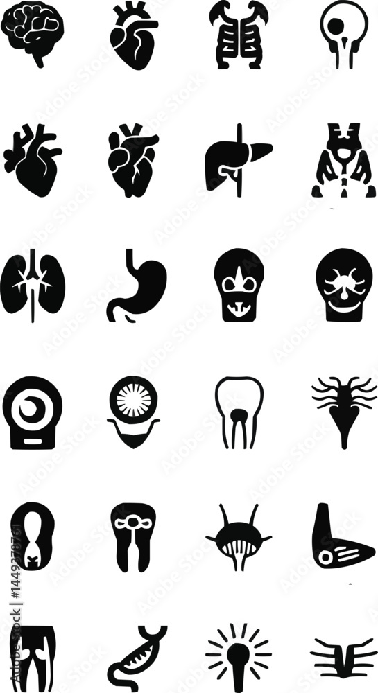 Fototapeta premium black silhouette set of human anatomy illustrations,
