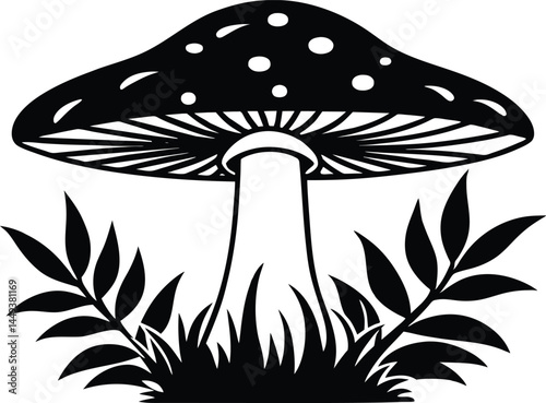 Through the Lens Mushroom Silhouette Beauty