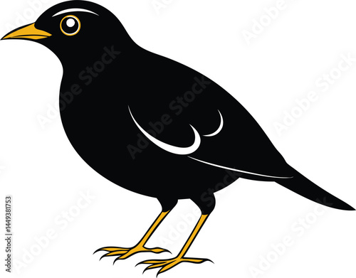 A Moment with a Myna Bird